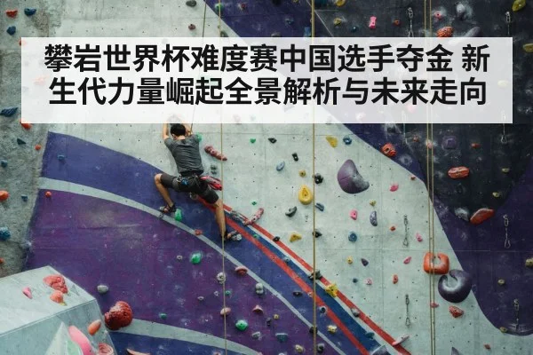 sport climbing competition wall